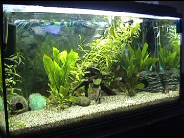 112 l  Becken